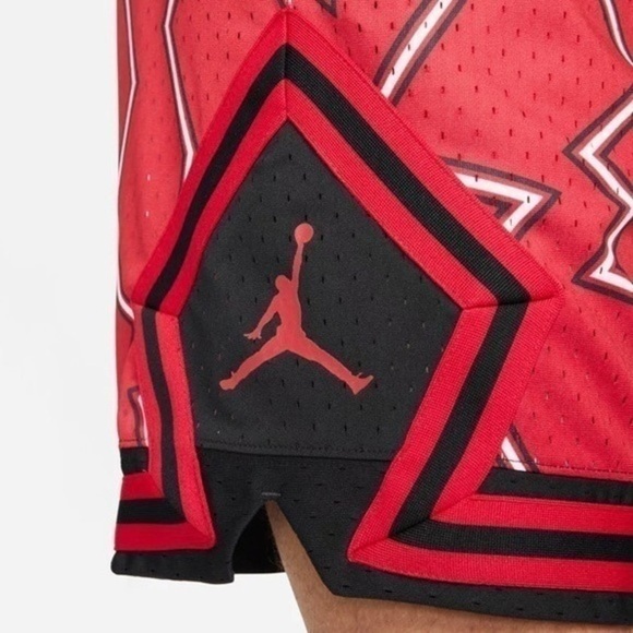 NWT. JORDAN Men’s Dri-Fit Shorts - Picture 3 of 6